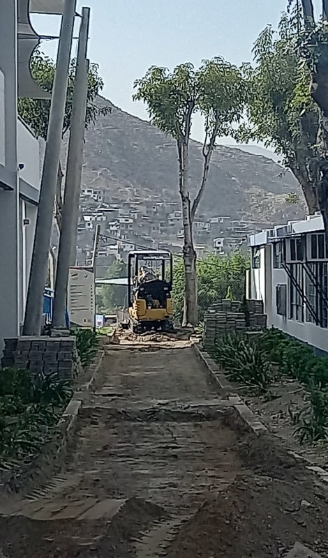 Imagen 5