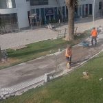 Miniatura 10