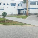 Miniatura 11